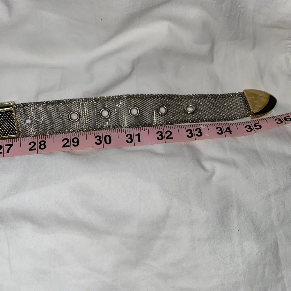 Silver Chain Link w/ Gold Hardware - Picture 5 of 5